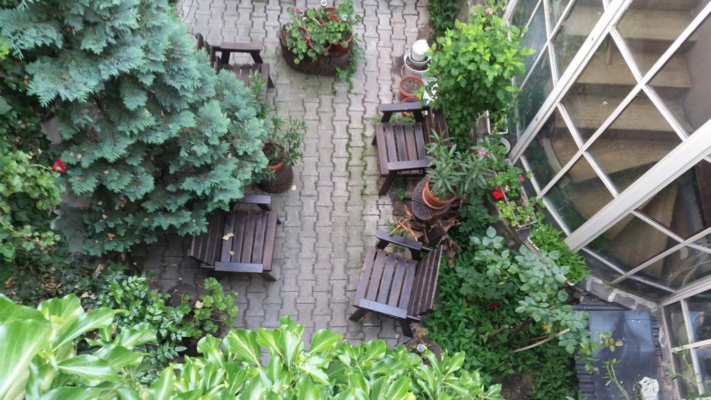 Vila Monica Bed & Breakfast Targu Mures Exterior photo