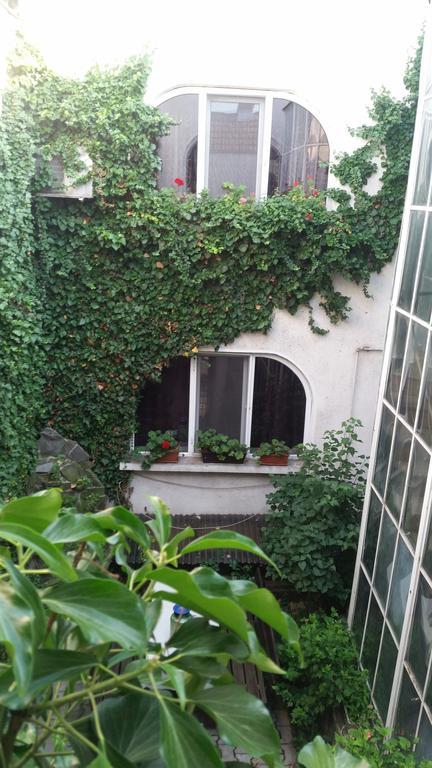 Vila Monica Bed & Breakfast Targu Mures Exterior photo