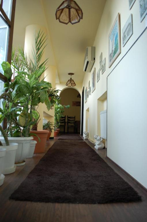 Vila Monica Bed & Breakfast Targu Mures Exterior photo