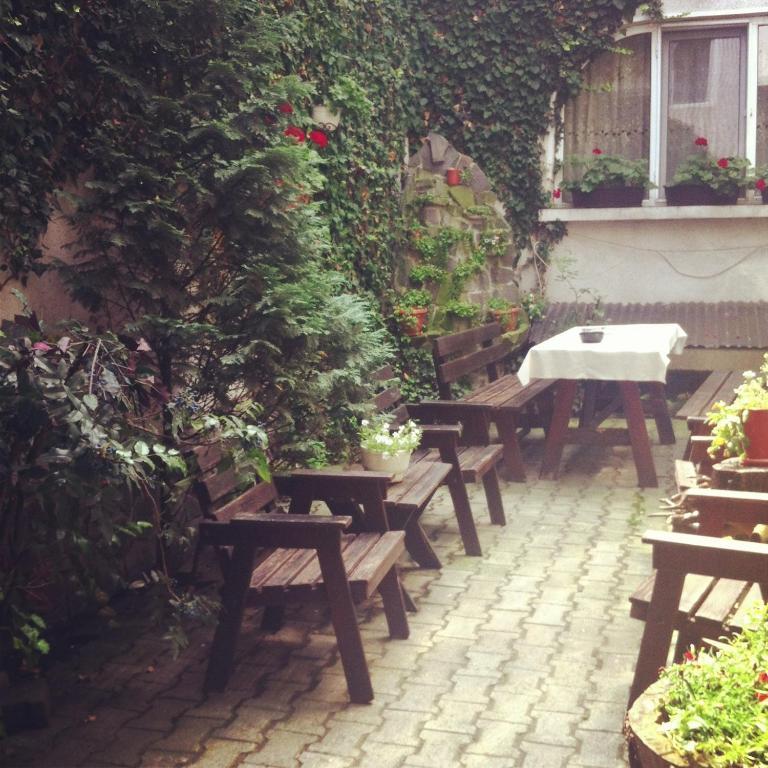 Vila Monica Bed & Breakfast Targu Mures Exterior photo