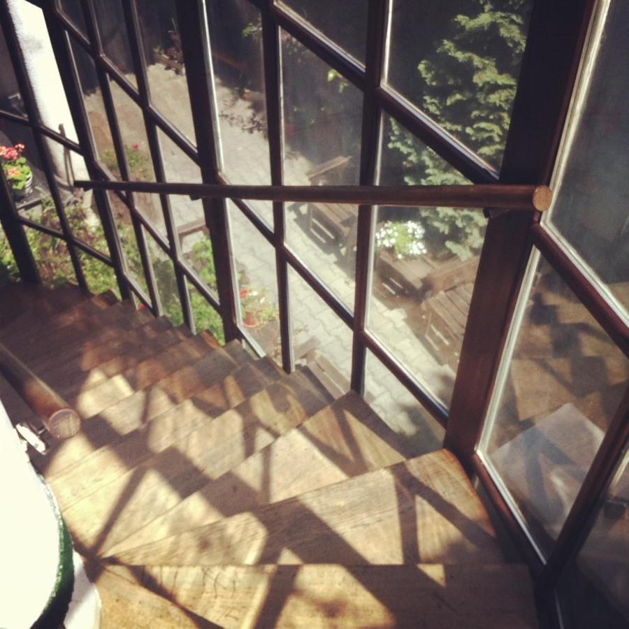 Vila Monica Bed & Breakfast Targu Mures Exterior photo